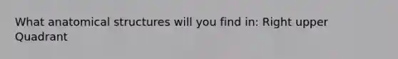 What anatomical structures will you find in: Right upper Quadrant