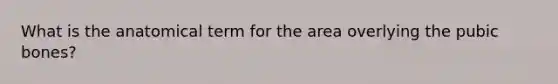 What is the anatomical term for the area overlying the pubic bones?