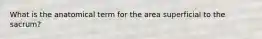 What is the anatomical term for the area superficial to the sacrum?