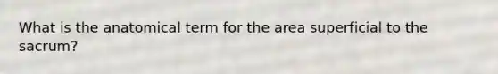 What is the anatomical term for the area superficial to the sacrum?