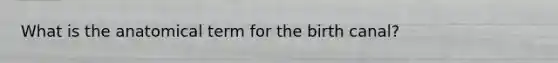 What is the anatomical term for the birth canal?