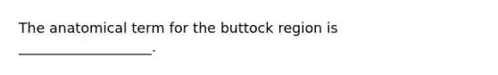 The anatomical term for the buttock region is ___________________.