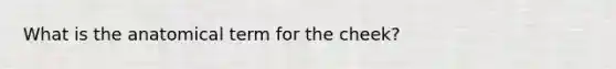 What is the anatomical term for the cheek?