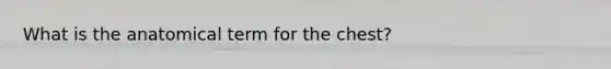 What is the anatomical term for the chest?