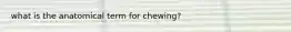 what is the anatomical term for chewing?