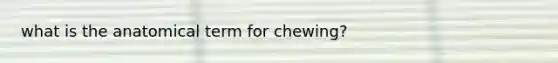 what is the anatomical term for chewing?