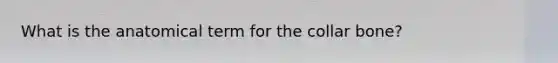 What is the anatomical term for the collar bone?
