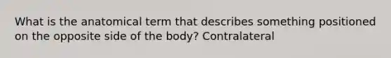 What is the anatomical term that describes something positioned on the opposite side of the body? Contralateral