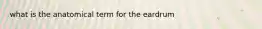 what is the anatomical term for the eardrum