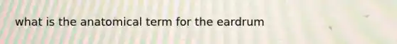 what is the anatomical term for the eardrum