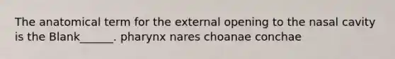 The anatomical term for the external opening to the nasal cavity is the Blank______. pharynx nares choanae conchae