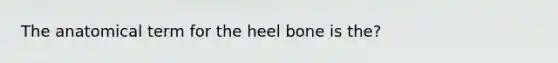 The anatomical term for the heel bone is the?