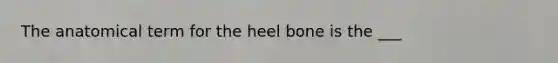 The anatomical term for the heel bone is the ___