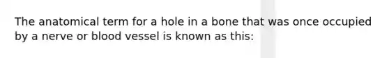 The anatomical term for a hole in a bone that was once occupied by a nerve or blood vessel is known as this: