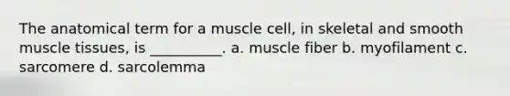 The anatomical term for a muscle cell, in skeletal and smooth muscle tissues, is __________. a. muscle fiber b. myofilament c. sarcomere d. sarcolemma