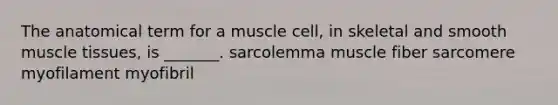 The anatomical term for a muscle cell, in skeletal and smooth muscle tissues, is _______. sarcolemma muscle fiber sarcomere myofilament myofibril