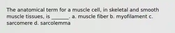 The anatomical term for a muscle cell, in skeletal and smooth muscle tissues, is _______. a. muscle fiber b. myofilament c. sarcomere d. sarcolemma