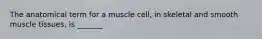 The anatomical term for a muscle cell, in skeletal and smooth muscle tissues, is _______.