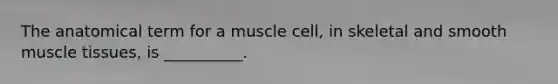 The anatomical term for a muscle cell, in skeletal and smooth muscle tissues, is __________.