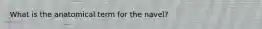 What is the anatomical term for the navel?
