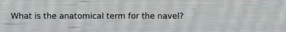 What is the anatomical term for the navel?