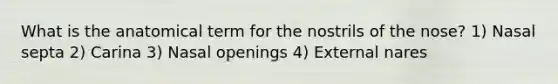 What is the anatomical term for the nostrils of the nose? 1) Nasal septa 2) Carina 3) Nasal openings 4) External nares