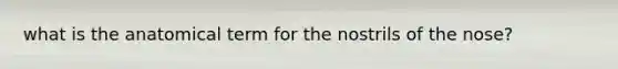 what is the anatomical term for the nostrils of the nose?