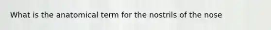What is the anatomical term for the nostrils of the nose