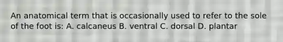 An anatomical term that is occasionally used to refer to the sole of the foot is: A. calcaneus B. ventral C. dorsal D. plantar