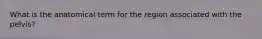 What is the anatomical term for the region associated with the pelvis?