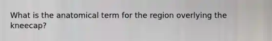 What is the anatomical term for the region overlying the kneecap?