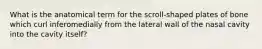 What is the anatomical term for the scroll-shaped plates of bone which curl inferomedially from the lateral wall of the nasal cavity into the cavity itself?