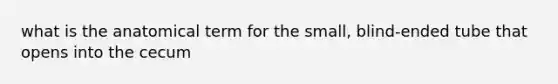 what is the anatomical term for the small, blind-ended tube that opens into the cecum