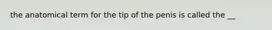 the anatomical term for the tip of the penis is called the __