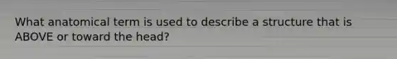 What anatomical term is used to describe a structure that is ABOVE or toward the head?