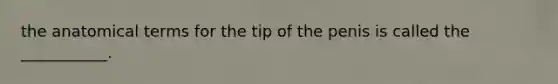 the anatomical terms for the tip of the penis is called the ___________.