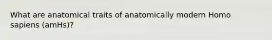 What are anatomical traits of anatomically modern Homo sapiens (amHs)?