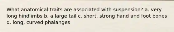 What anatomical traits are associated with suspension? a. very long hindlimbs b. a large tail c. short, strong hand and foot bones d. long, curved phalanges