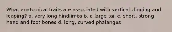 What anatomical traits are associated with vertical clinging and leaping? a. very long hindlimbs b. a large tail c. short, strong hand and foot bones d. long, curved phalanges