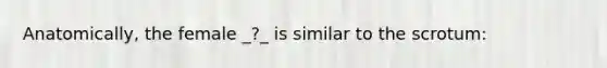 Anatomically, the female _?_ is similar to the scrotum:
