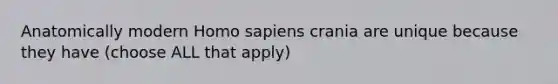 Anatomically modern Homo sapiens crania are unique because they have (choose ALL that apply)