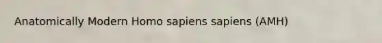 Anatomically Modern Homo sapiens sapiens (AMH)