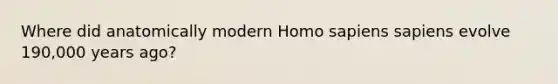 Where did anatomically modern Homo sapiens sapiens evolve 190,000 years ago?