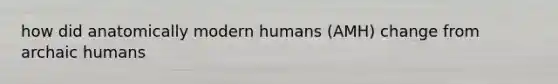 how did anatomically modern humans (AMH) change from archaic humans