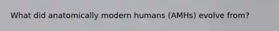 What did anatomically modern humans (AMHs) evolve from?