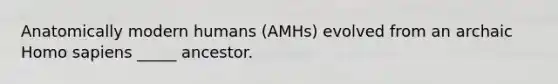 Anatomically modern humans (AMHs) evolved from an archaic Homo sapiens _____ ancestor.