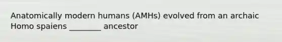 Anatomically modern humans (AMHs) evolved from an archaic Homo spaiens ________ ancestor