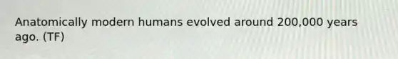 Anatomically modern humans evolved around 200,000 years ago. (TF)