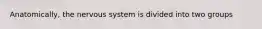 Anatomically, the nervous system is divided into two groups