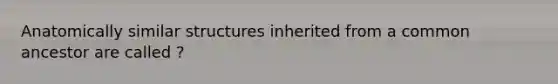 Anatomically similar structures inherited from a common ancestor are called ?